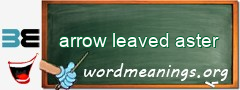 WordMeaning blackboard for arrow leaved aster
